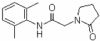 Nefiracetam 